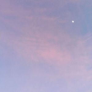 💙 Meet Your Posher 💙